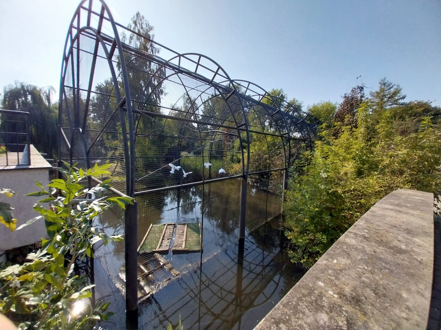 Zamocs Zoo - African Spoonbill aviary