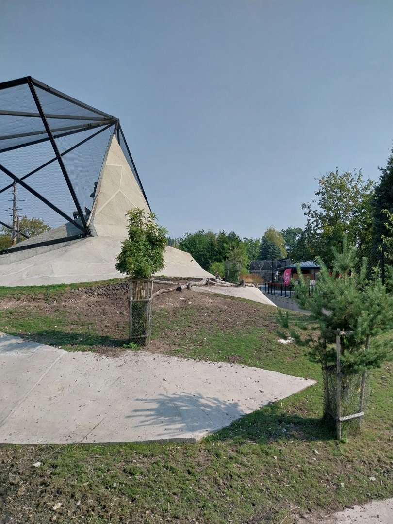 Zamocs Zoo - Bharal (Pseudois nayaur) enclosure