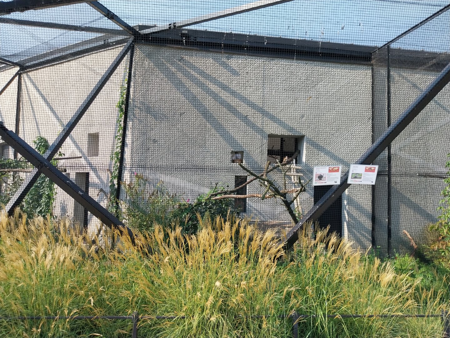 Zamocs Zoo - Birdhouse - Aviary 2