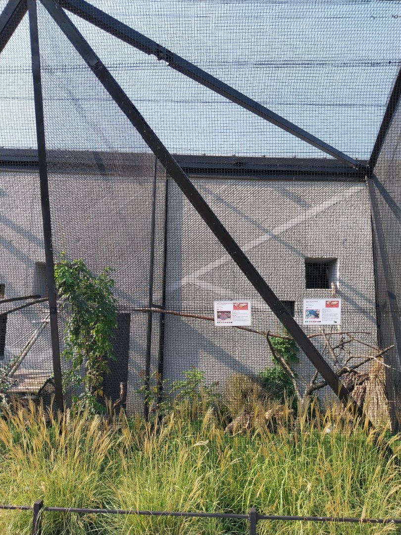 Zamocs Zoo - Birdhouse - Aviary 3