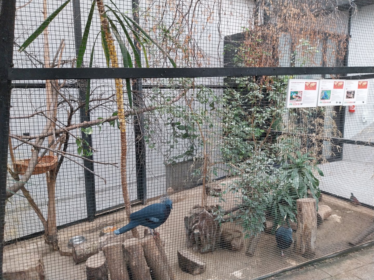 Zamocs Zoo - Birdhouse - Aviary