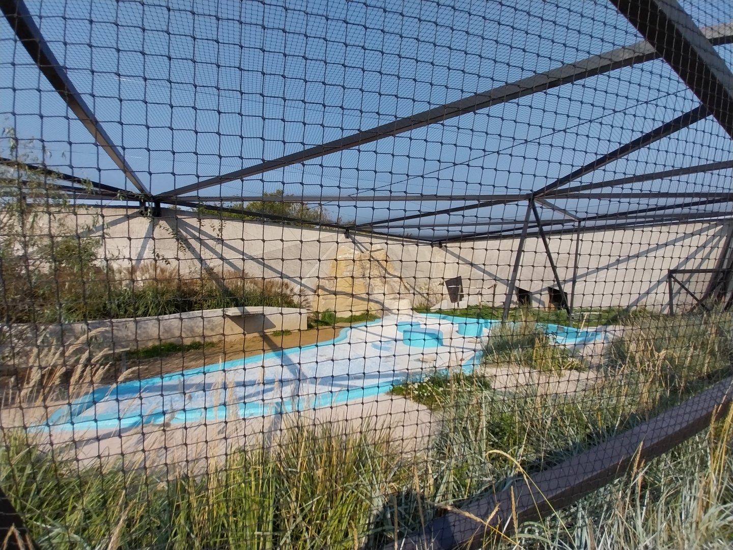 Zamocs Zoo - Birdhouse - Flamingo aviary