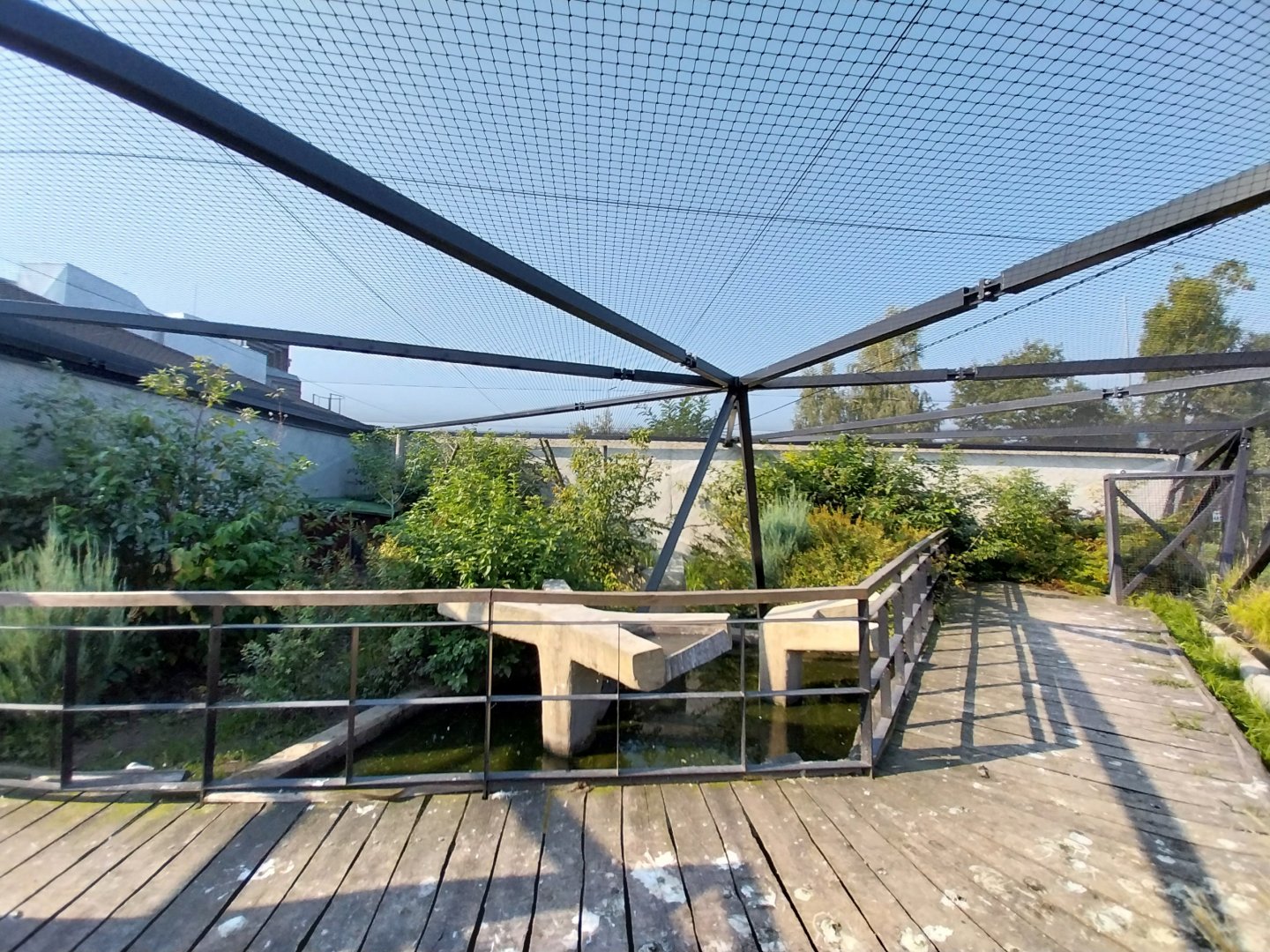 Zamocs Zoo - Birdhouse - Manchurian Crane aviary