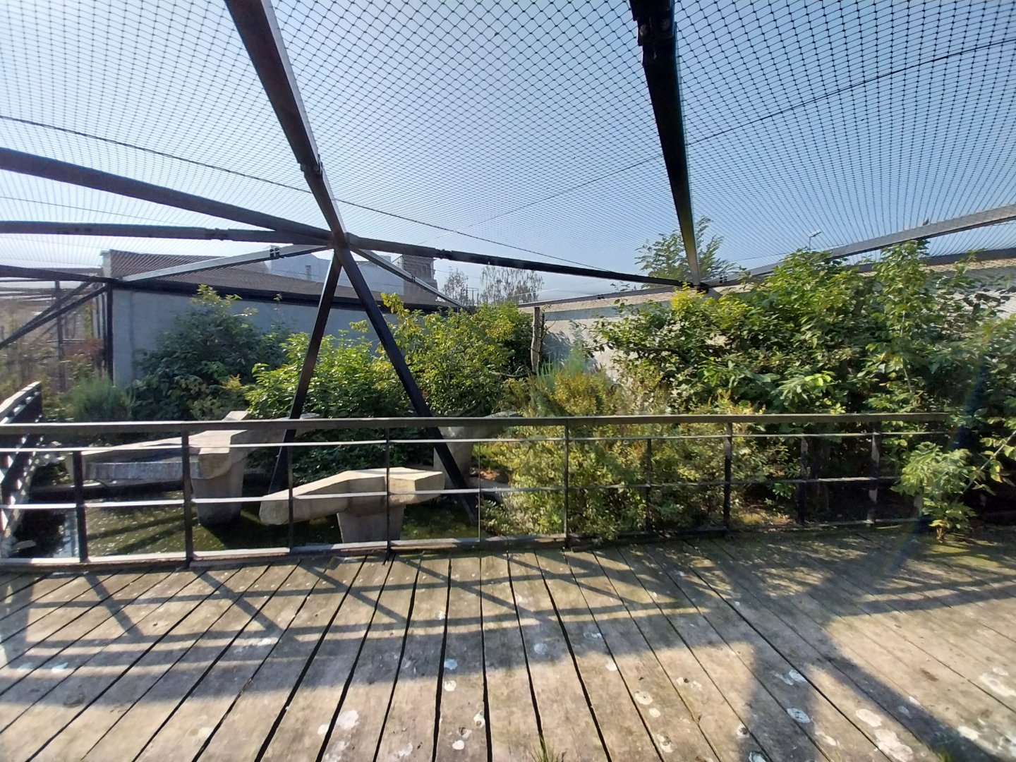 Zamocs Zoo - Birdhouse - Manchurian Crane aviary