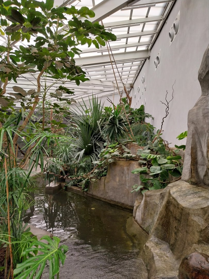 Zamocs Zoo - Birdhouse - Tropical Rainforest