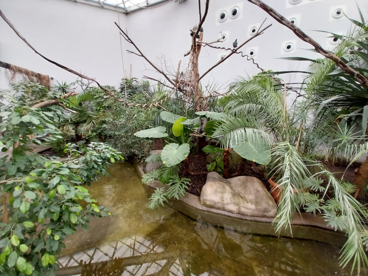 Zamocs Zoo - Birdhouse - Tropical Rainforest