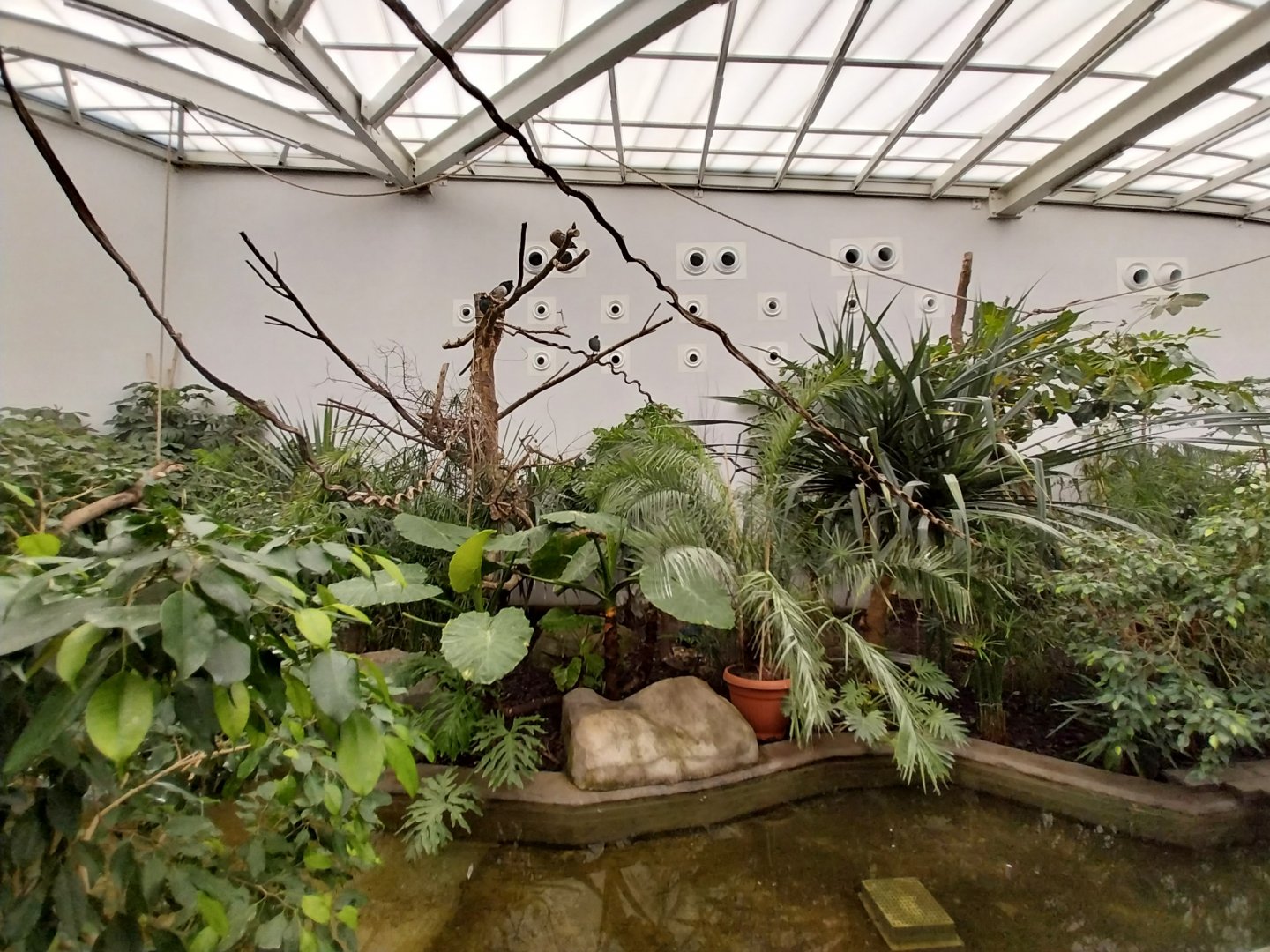 Zamocs Zoo - Birdhouse - Tropical Rainforest