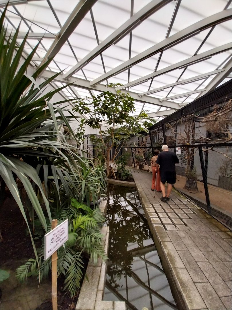 Zamocs Zoo - Birdhouse - Tropical Rainforest