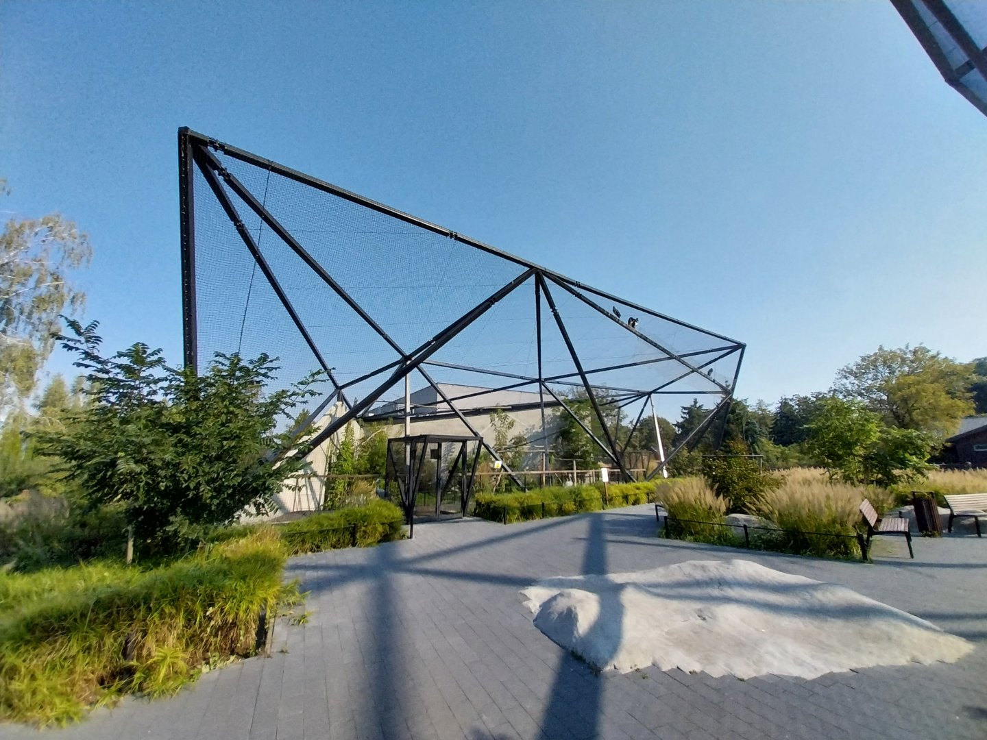Zamocs Zoo - Blue Crane (Grus paradisea) and Abdim's Stork (Ciconia abdimii) aviary