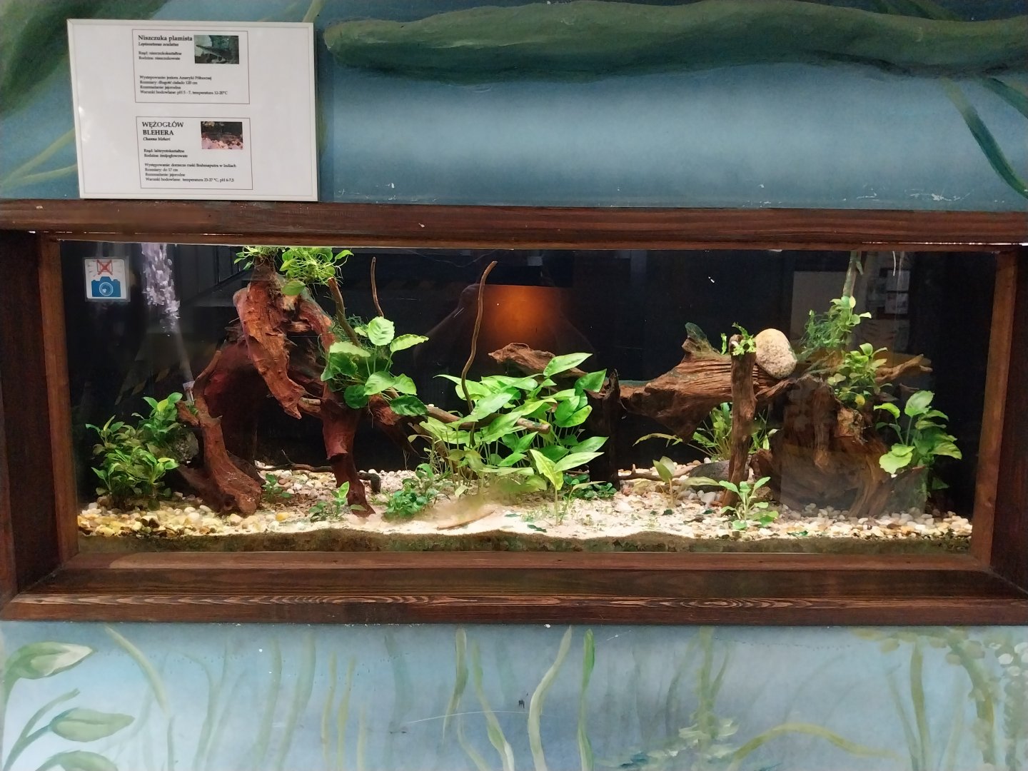 Zamocs Zoo - Cat House - Aquarium - Gar aquarium