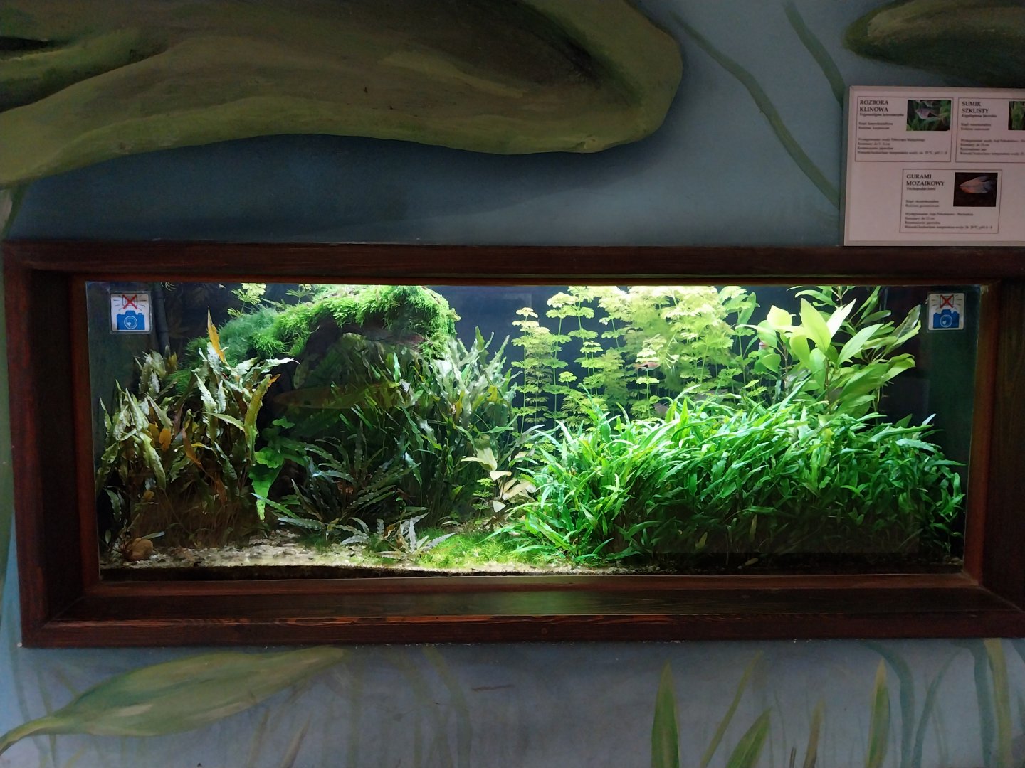 Zamocs Zoo - Cat House - Aquarium - Southeast Asia aquarium