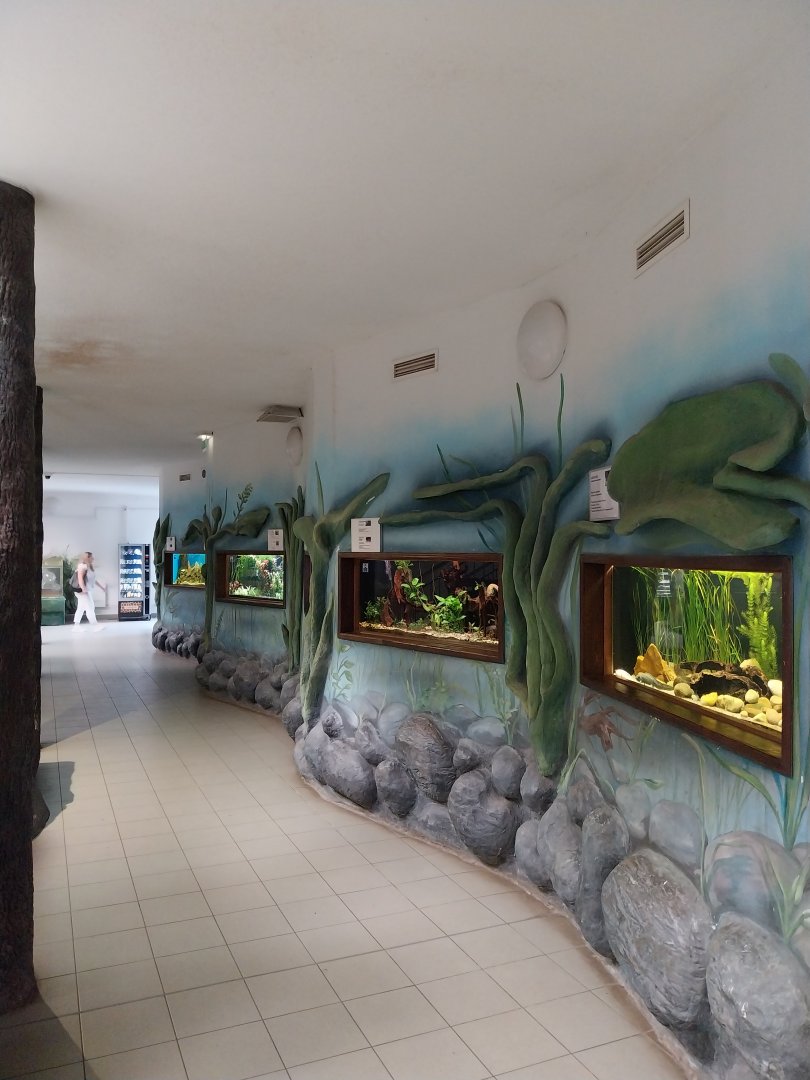 Zamocs Zoo - Cat House - Aquarium