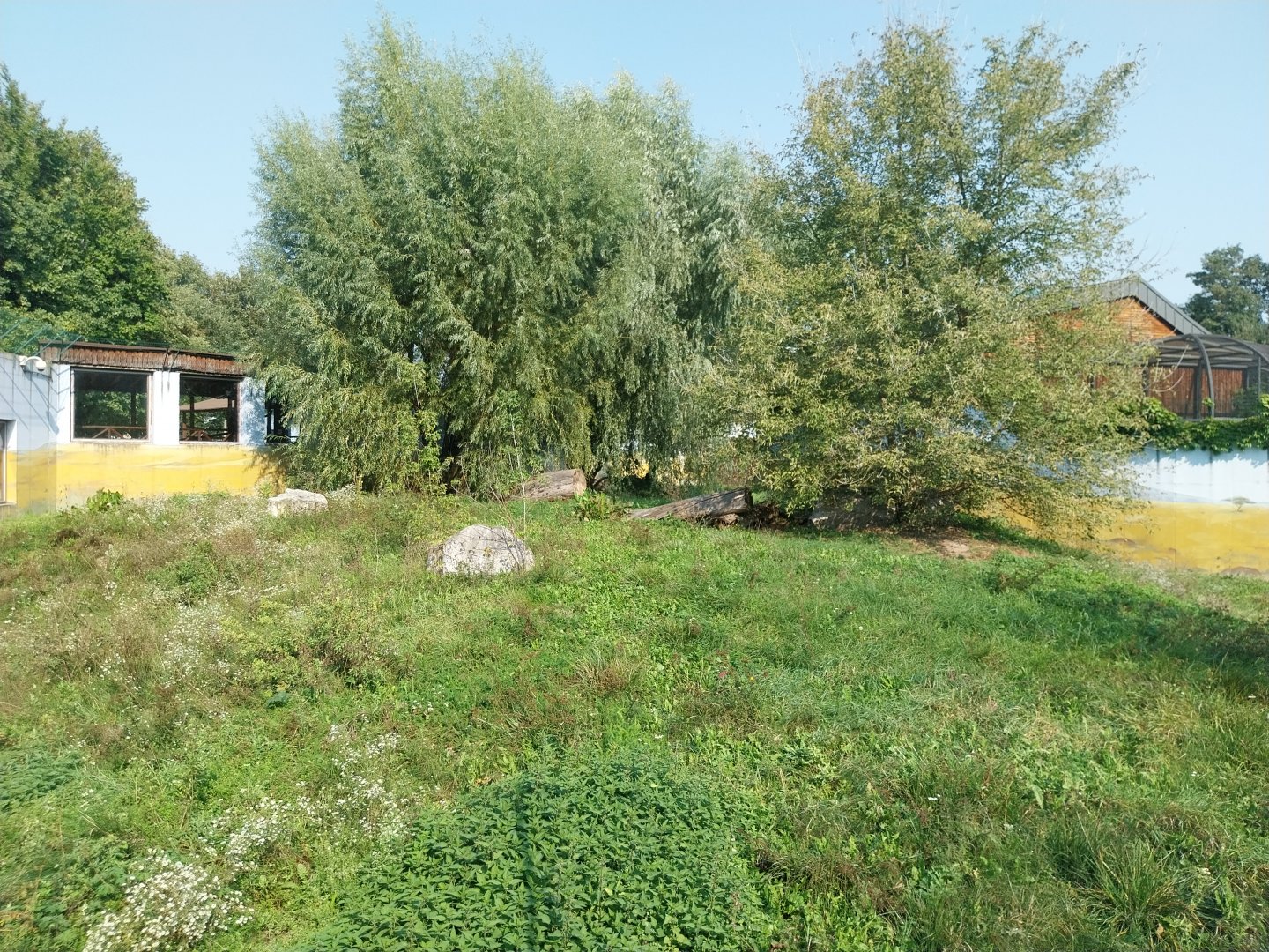 Zamocs Zoo - Cat House - Lion enclosure