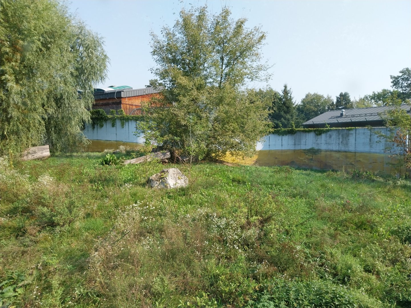 Zamocs Zoo - Cat House - Lion enclosure
