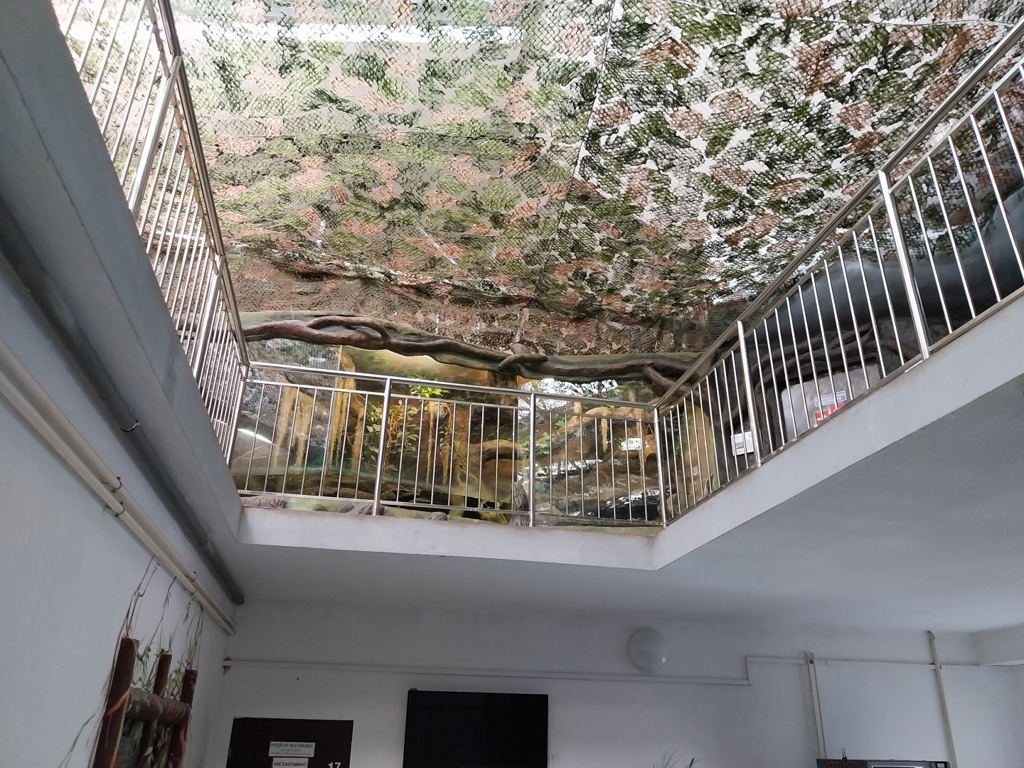 Zamocs Zoo - Cat House - Reptile first floor