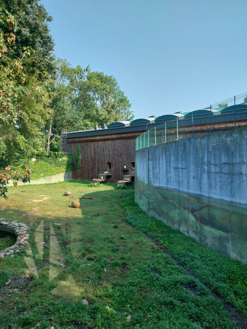 Zamocs Zoo - Cat House - Siberian Tiger enclosure
