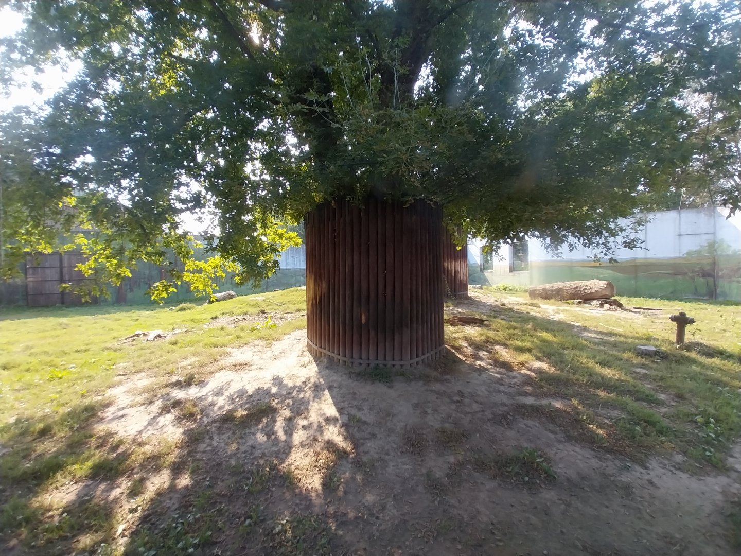 Zamocs Zoo - Cat House - Siberian Tiger enclosure
