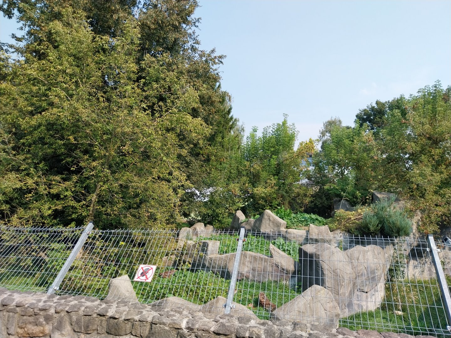 Zamocs Zoo - European Brown Bear enclosure