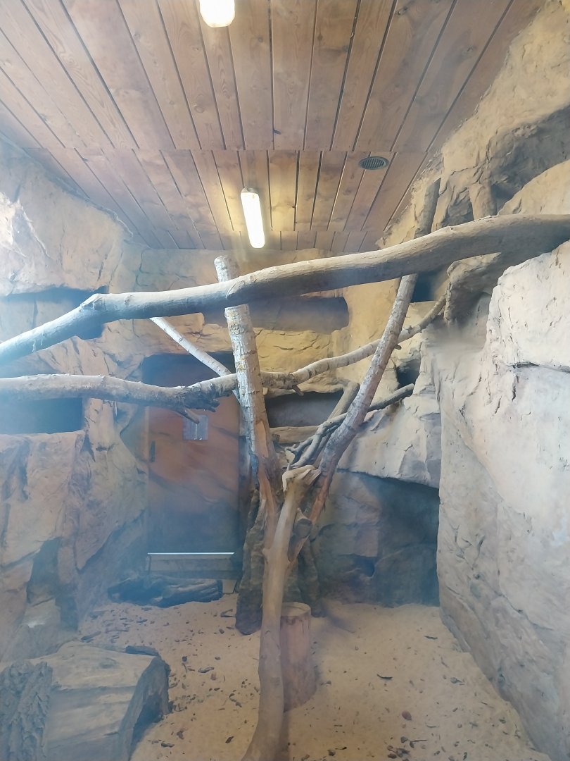 Zamocs Zoo - Giraffe building - Meerkat enclosure