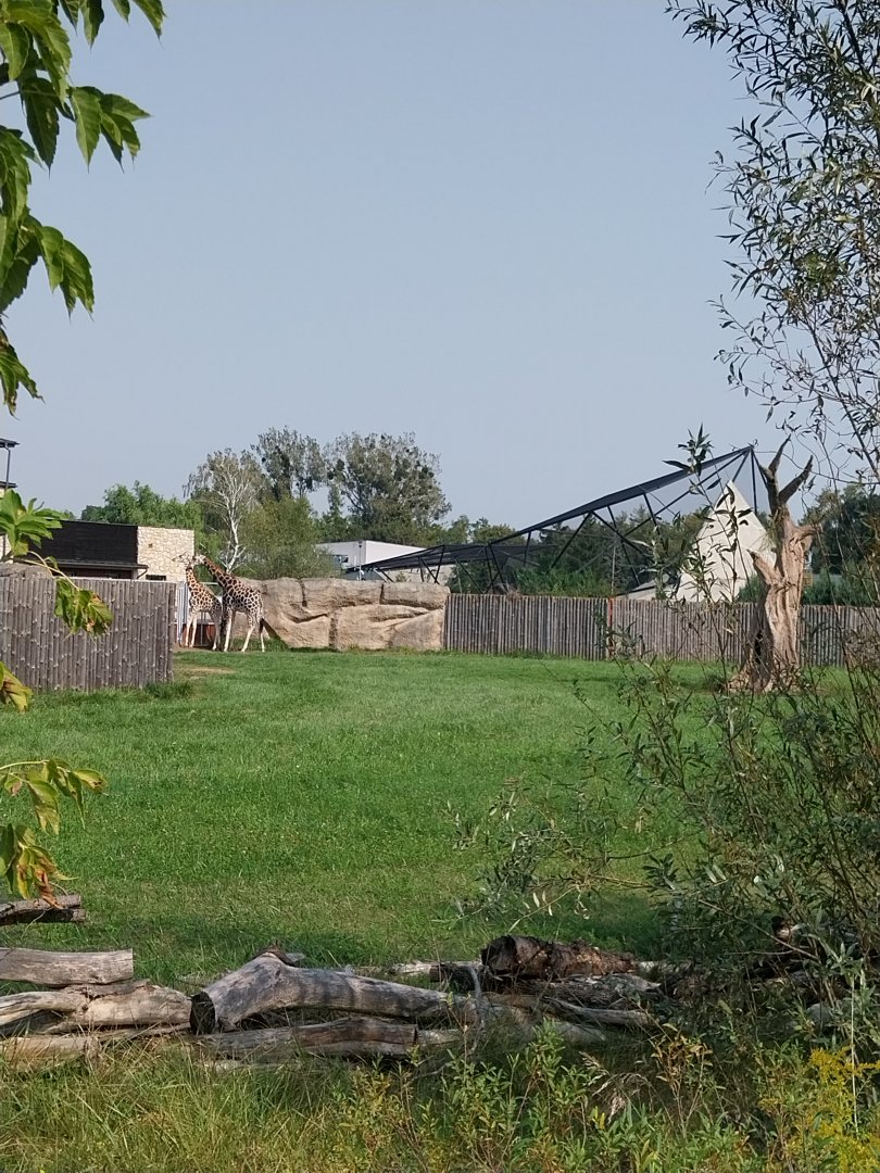 Zamocs Zoo - Giraffe building