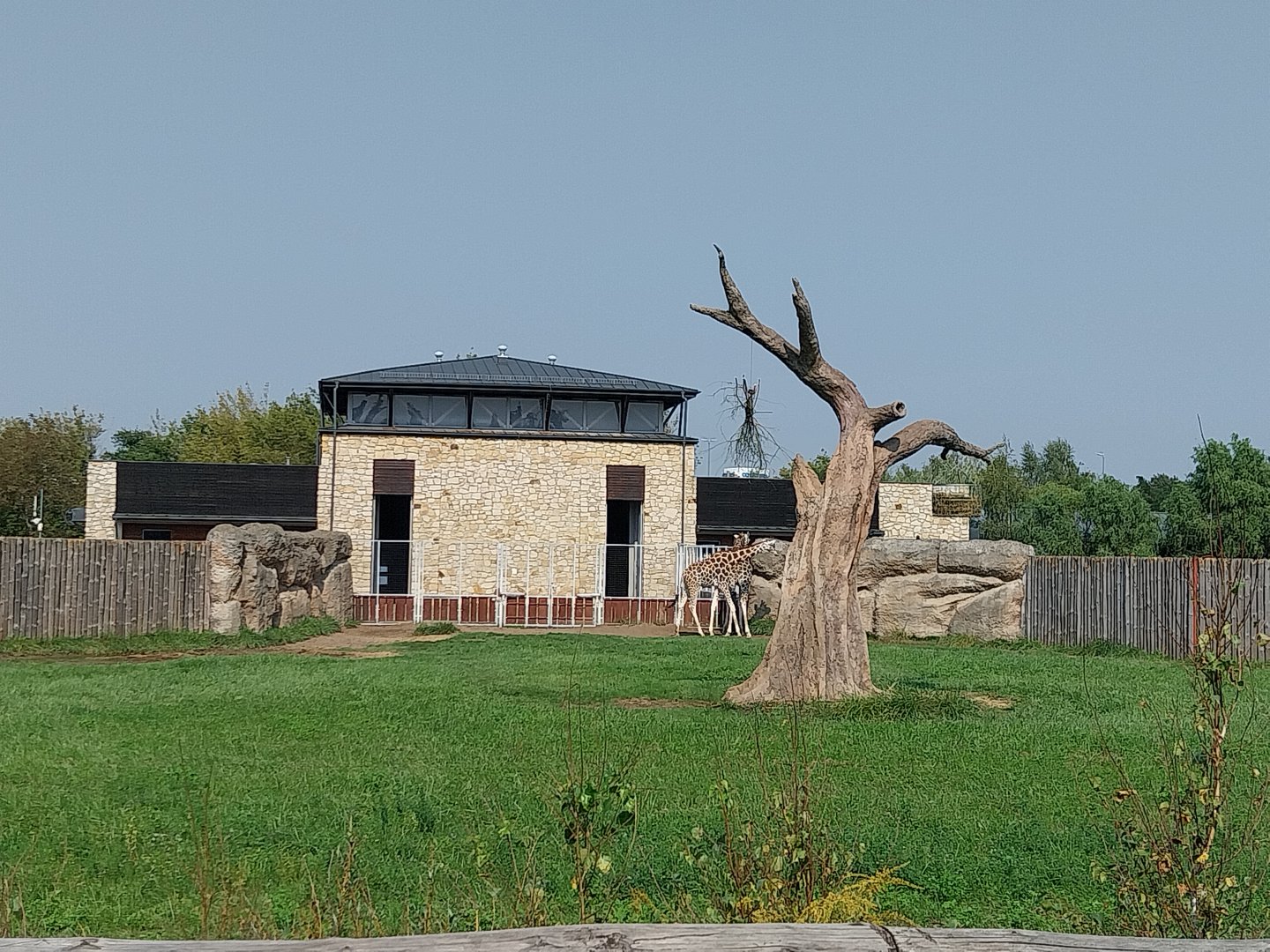 Zamocs Zoo - Giraffe building