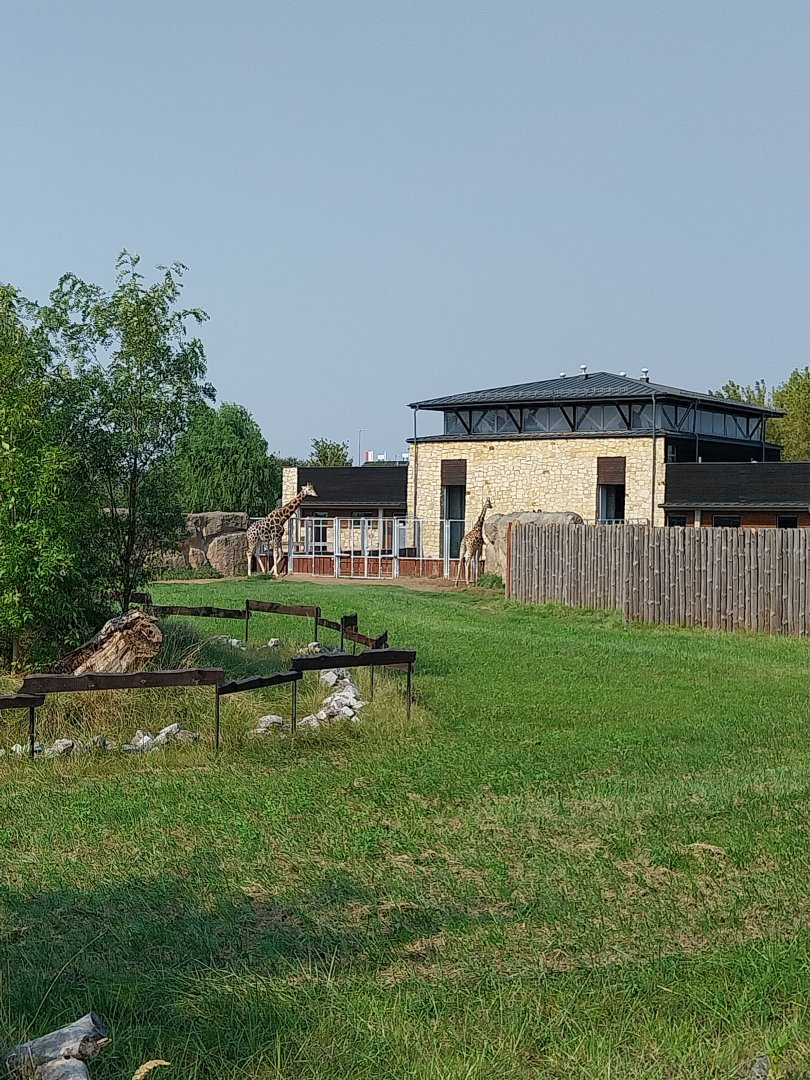 Zamocs Zoo - Giraffe building