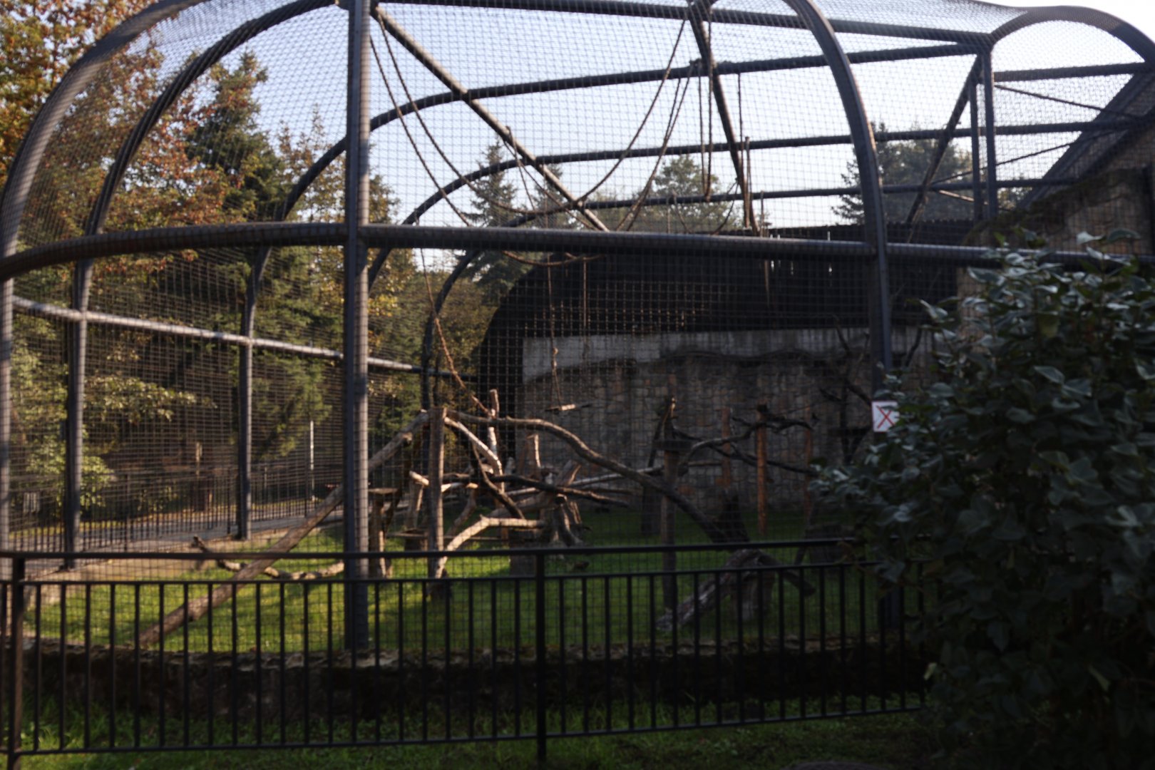 Zamocs Zoo - Monkey house - Lion-tailed Macaque enclosure