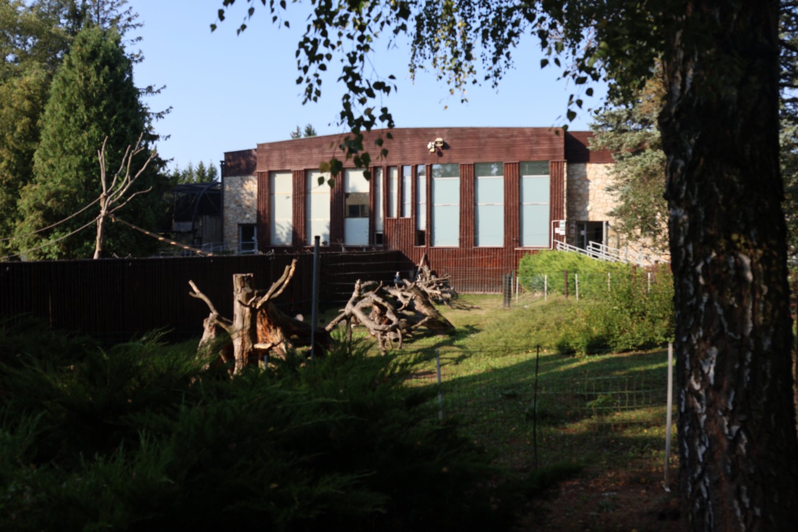 Zamocs Zoo - Monkey house - Ring-tailed Lemur enclosure
