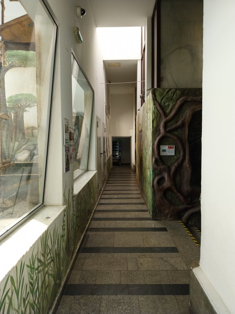 Zamocs Zoo - Monkey House