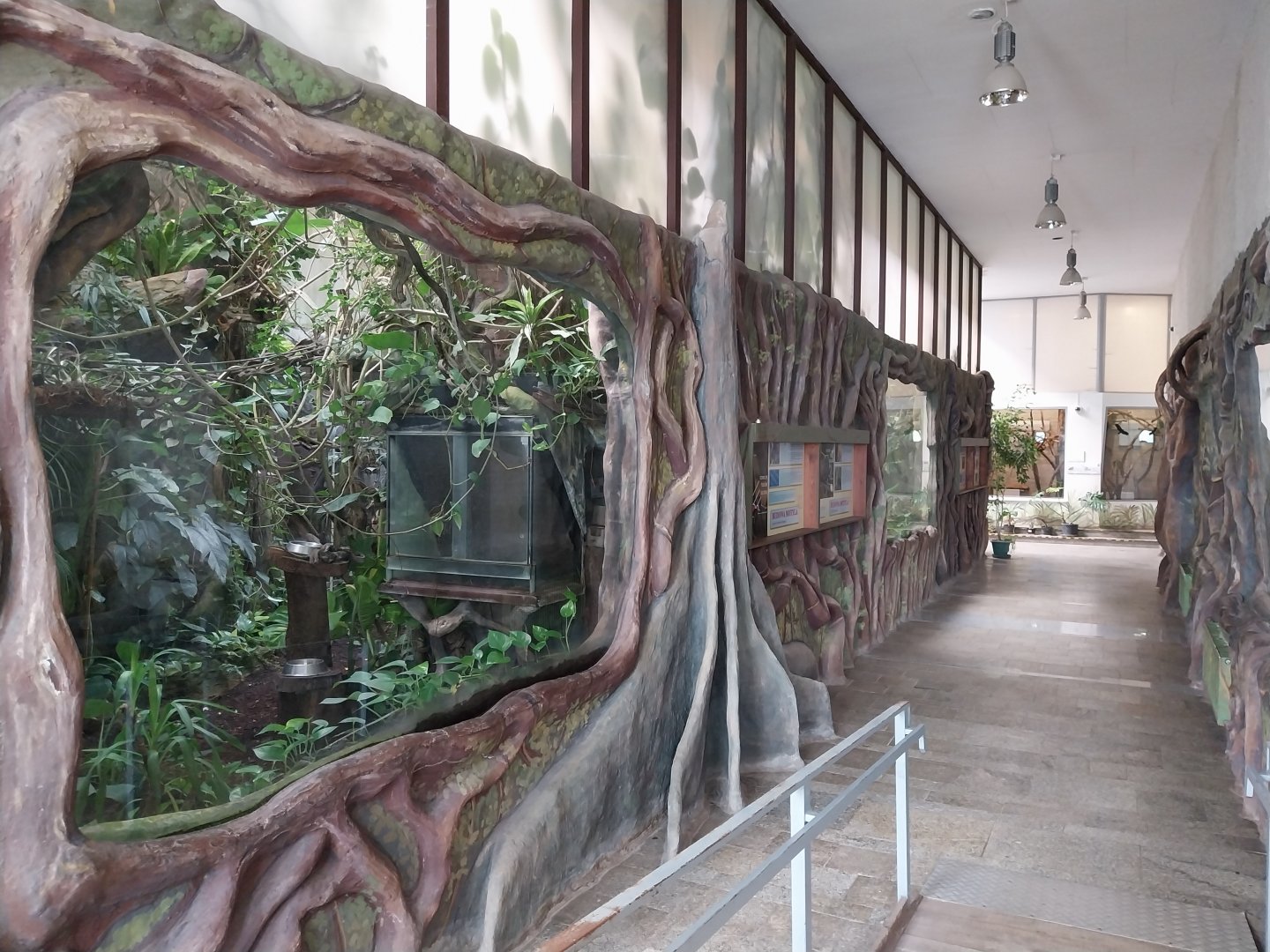 Zamocs Zoo - Monkey House