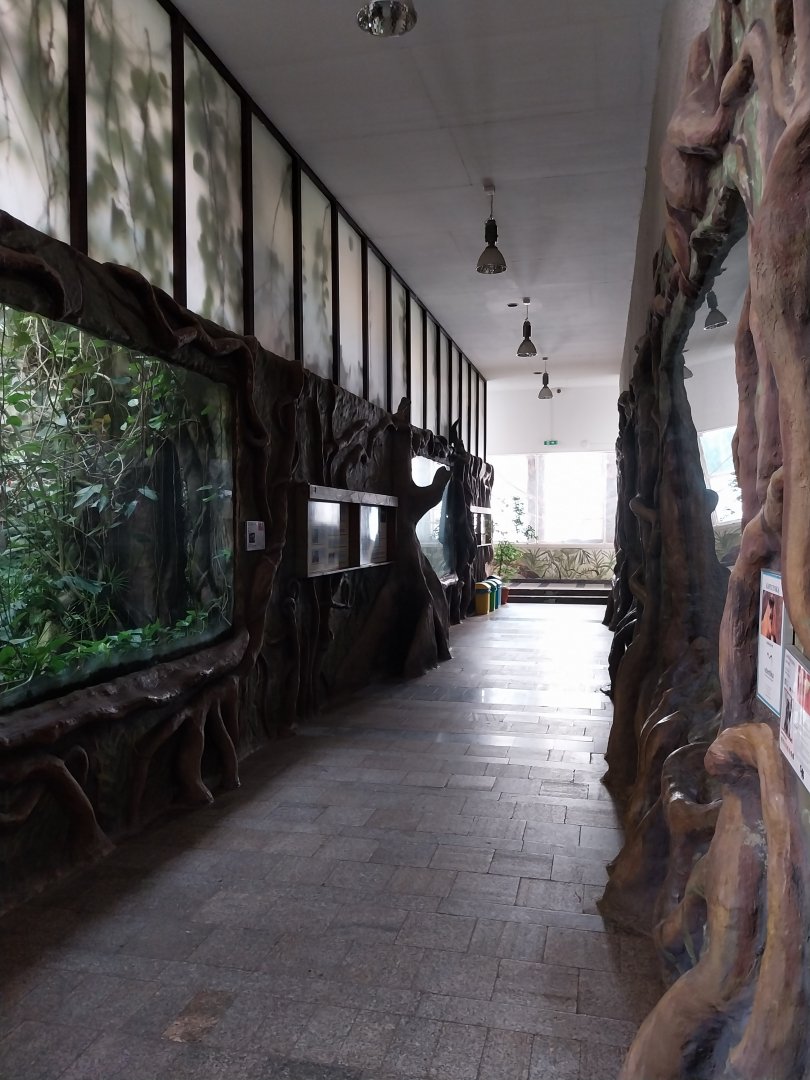 Zamocs Zoo - Monkey House