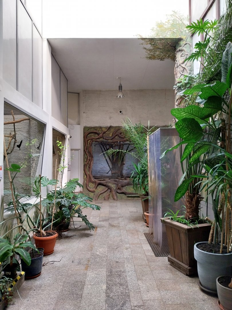 Zamocs Zoo - Monkey House