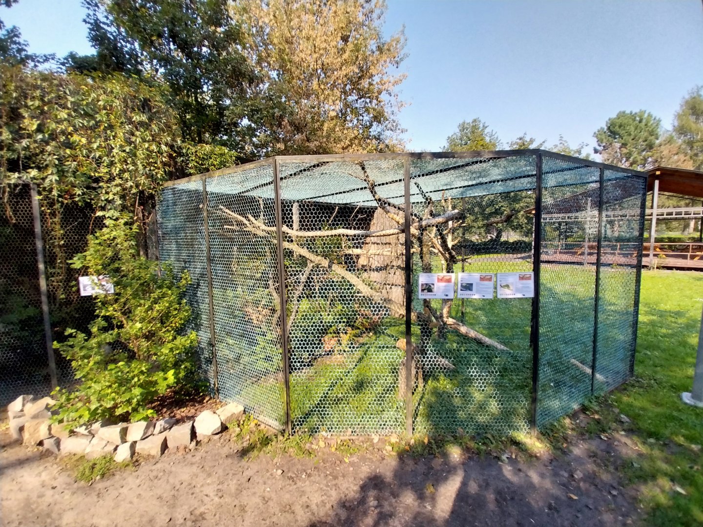 Zamocs Zoo - Pheasantry - Amazon Parrot aviary