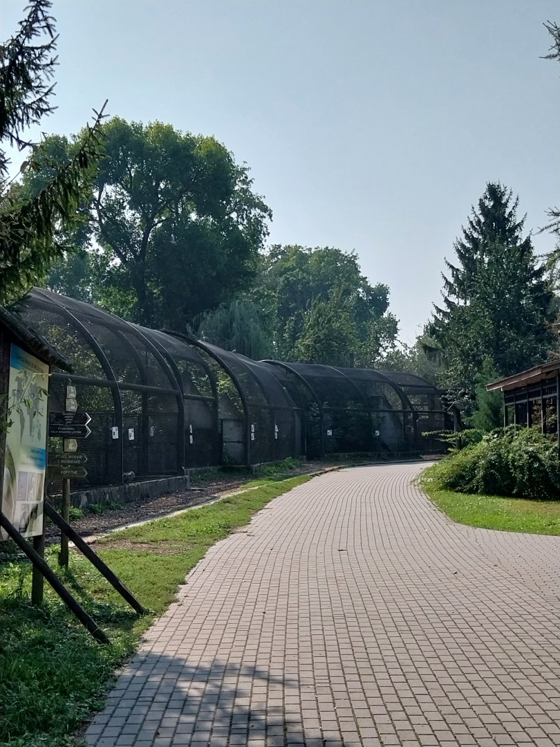 Zamocs Zoo - Pheasantry