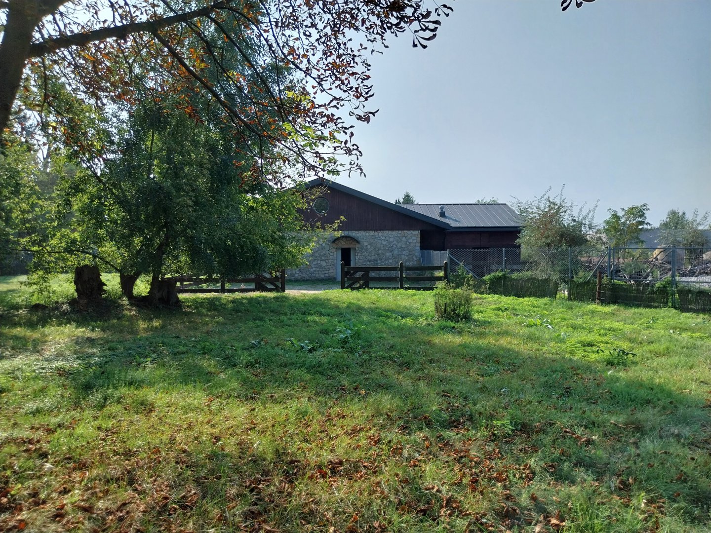 Zamocs Zoo - Saharan Dorcas Gazelle enclosure