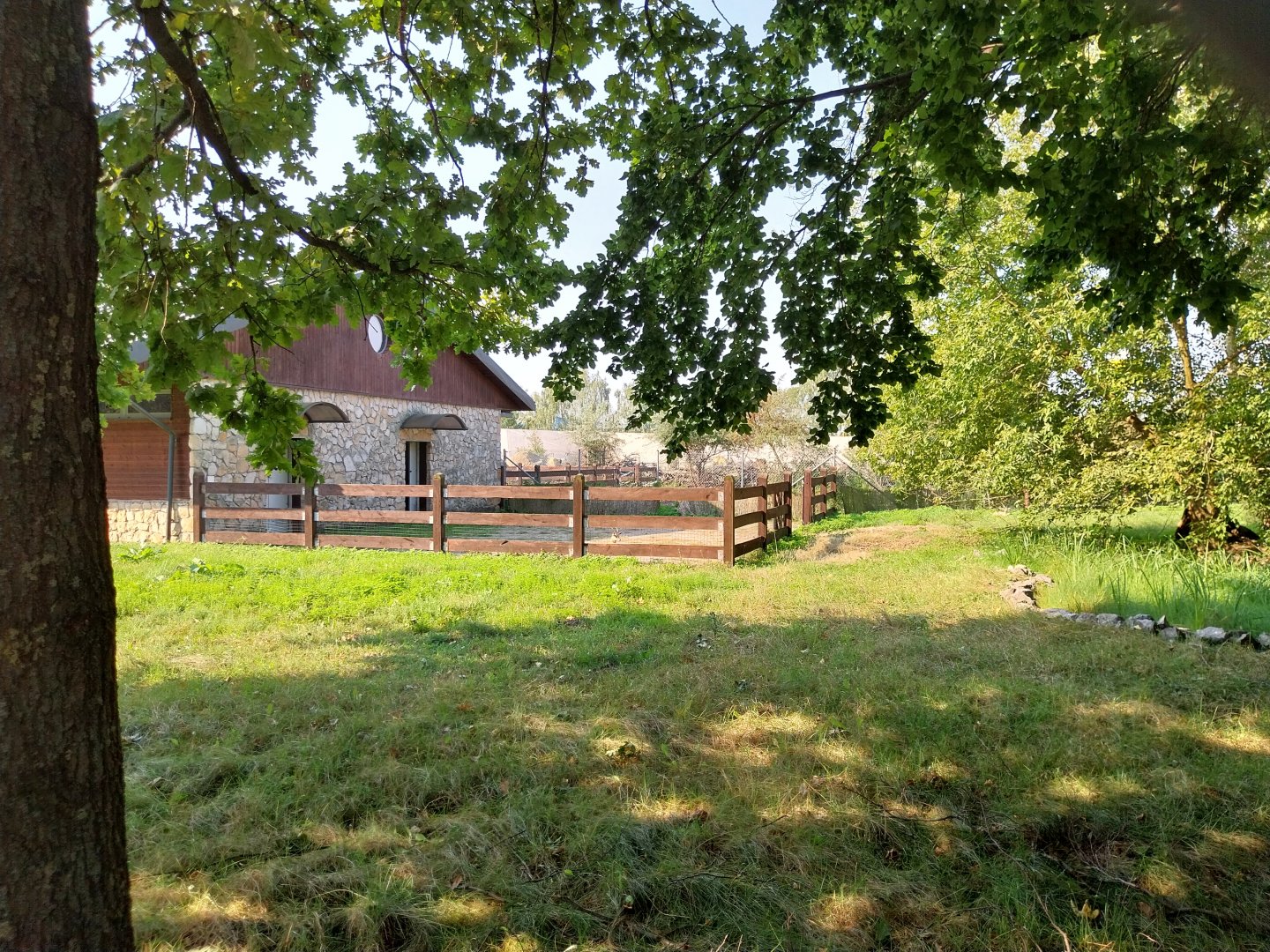 Zamocs Zoo - Saharan Dorcas Gazelle enclosure