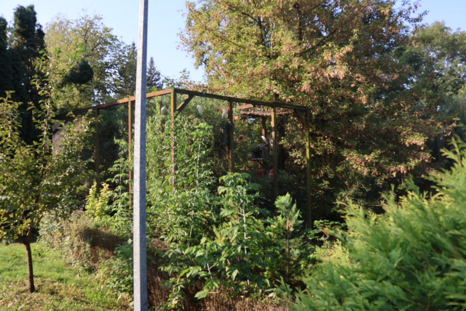 Zamocs Zoo - Scarlet ibis aviary