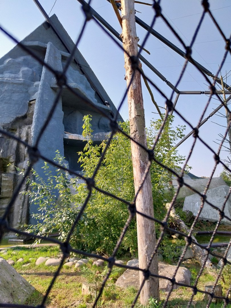 Zamocs Zoo -  Sea Eagle aviary
