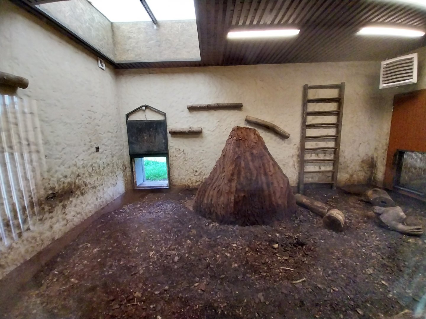 Zamocs Zoo - South America complex - Backside - Giant anteater