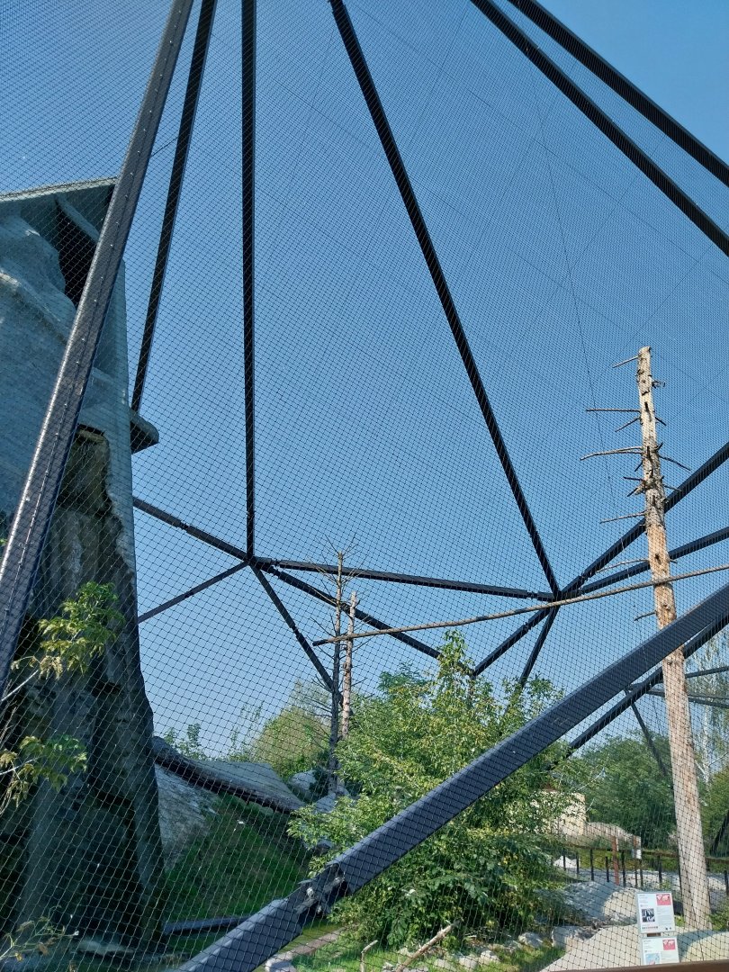 Zamocs Zoo - Steller's Sea Eagle aviary