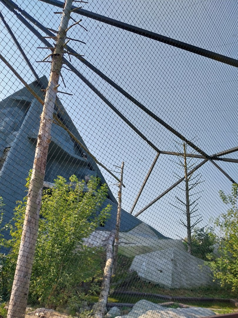 Zamocs Zoo - Steller's Sea Eagle aviary