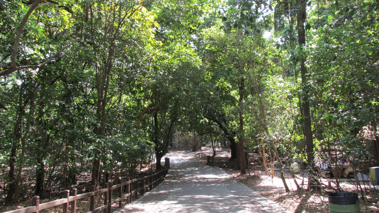 Zapotal forest entrance zoomat