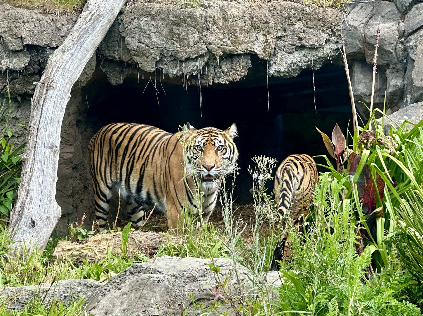 Zayana and Cahya in Cave