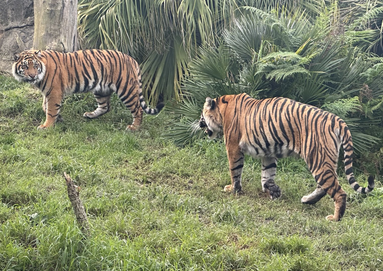 Zayana and Cahya (Mother and Daughter)