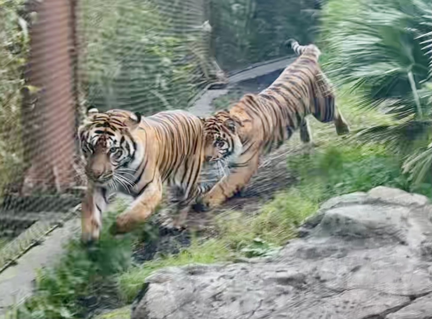 Zayana and Cahya (Mother and Daughter)