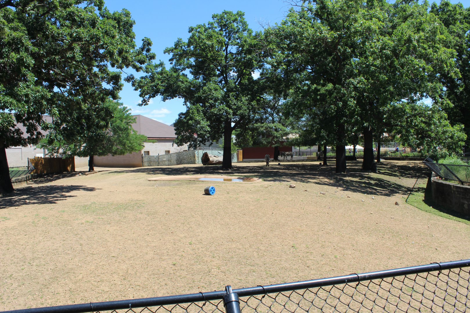 Zebra and African Spurred Tortoise Exhibit - African Hoostock Building