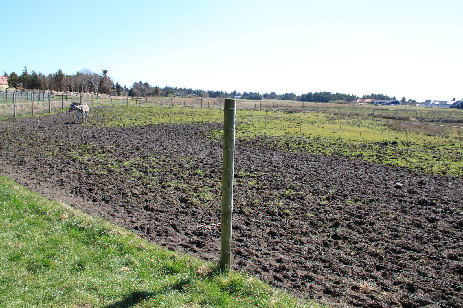 Zebra and Ostrich Enclosure