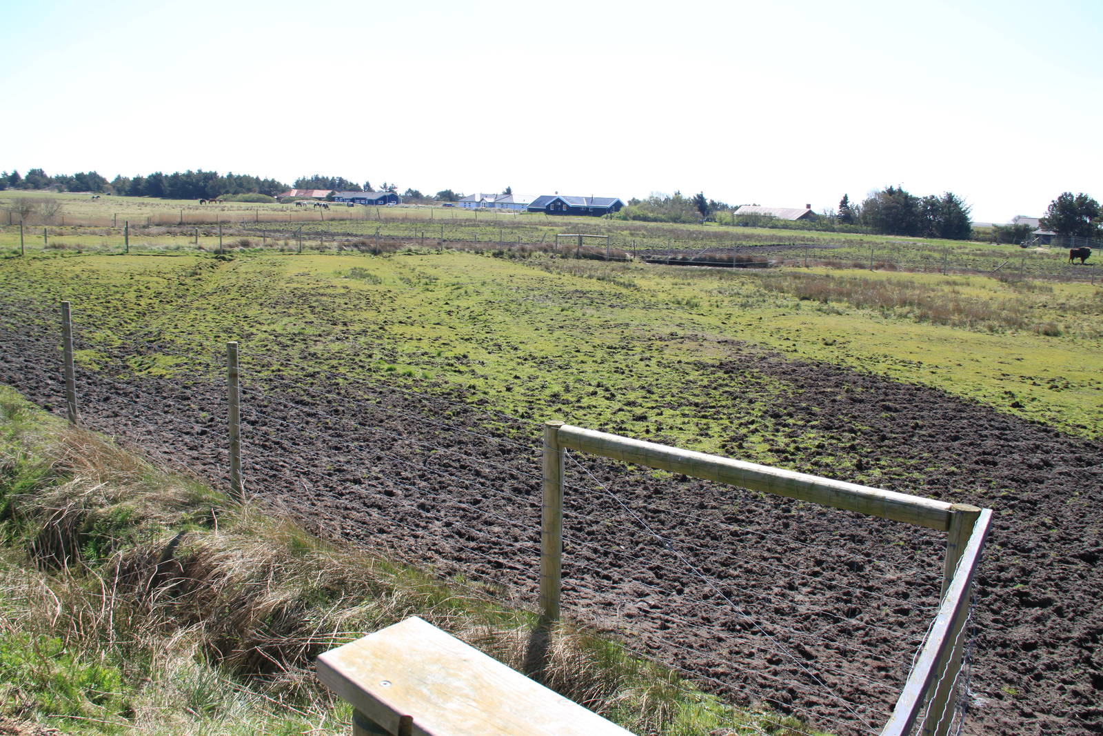 Zebra and Ostrich Enclosure