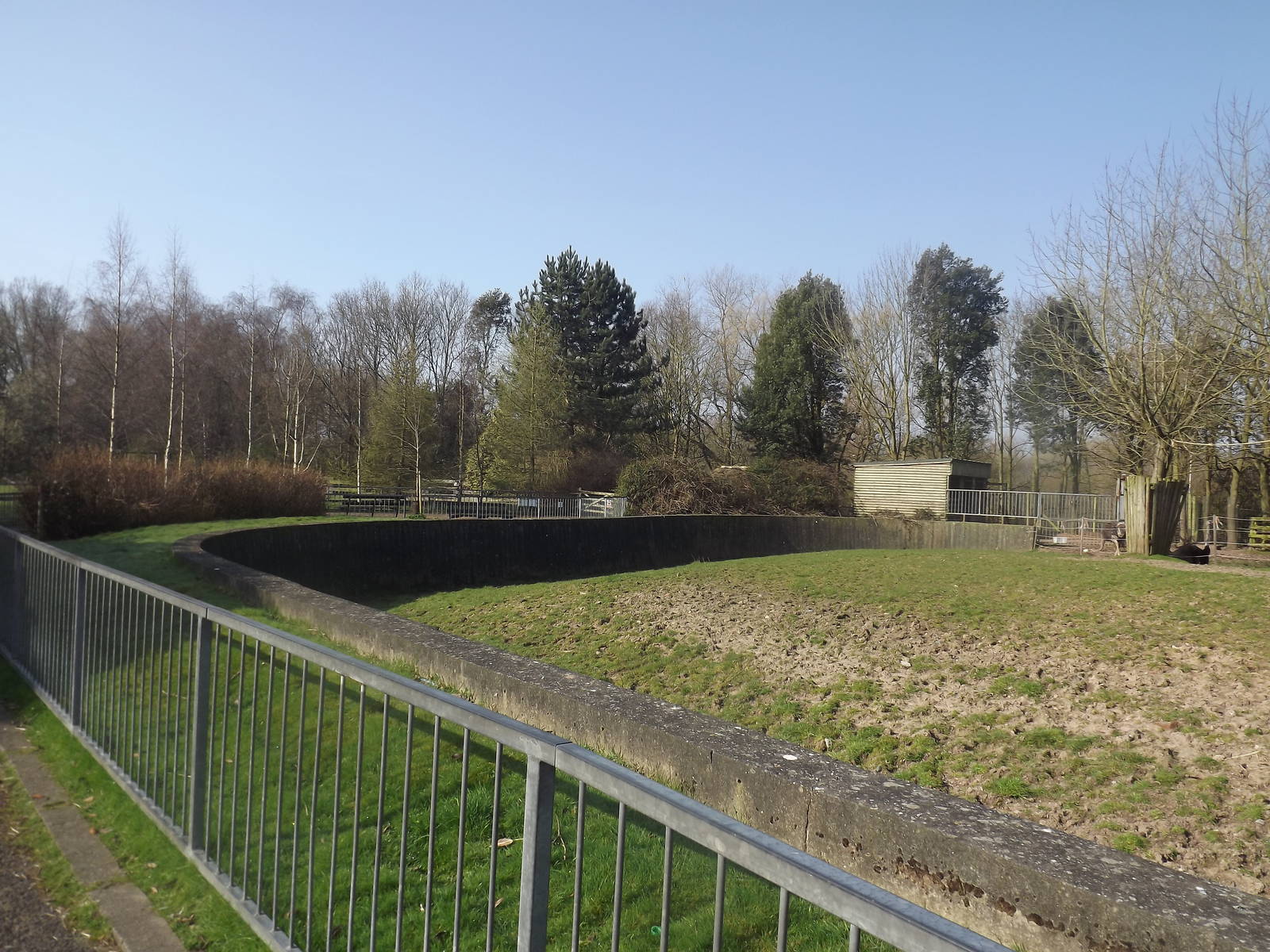 Zebra and Ostrich paddock at Blackpool Zoo 25/03/12