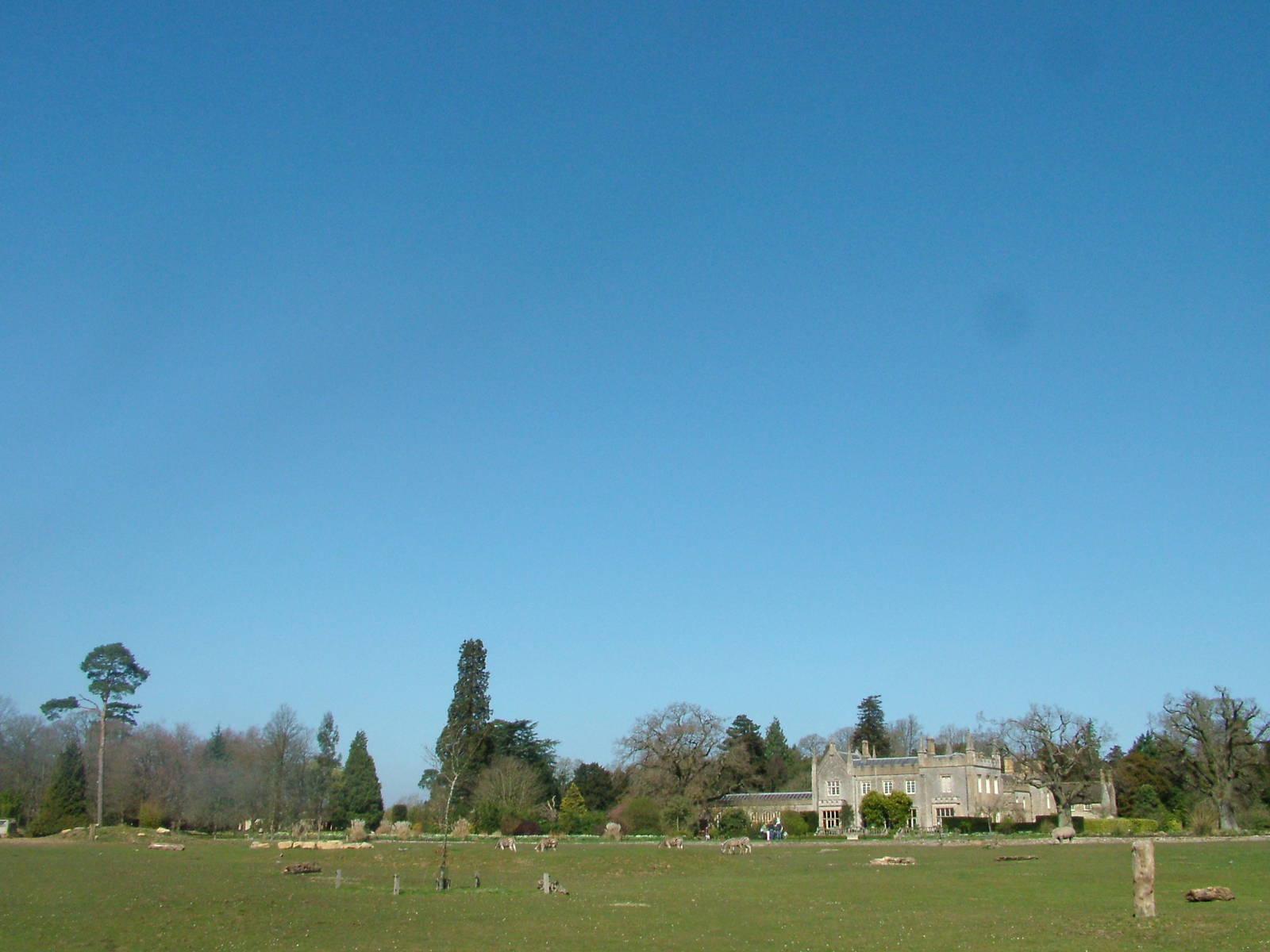 Zebra and Rhino paddock at Cotswold WP 17/04/10